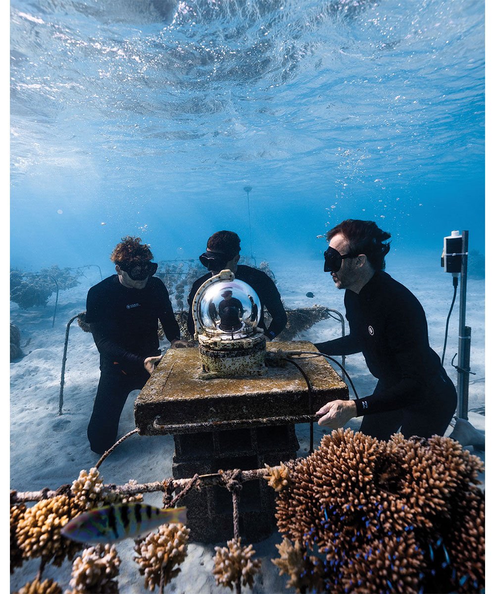 Versace supports Coral Gardeners