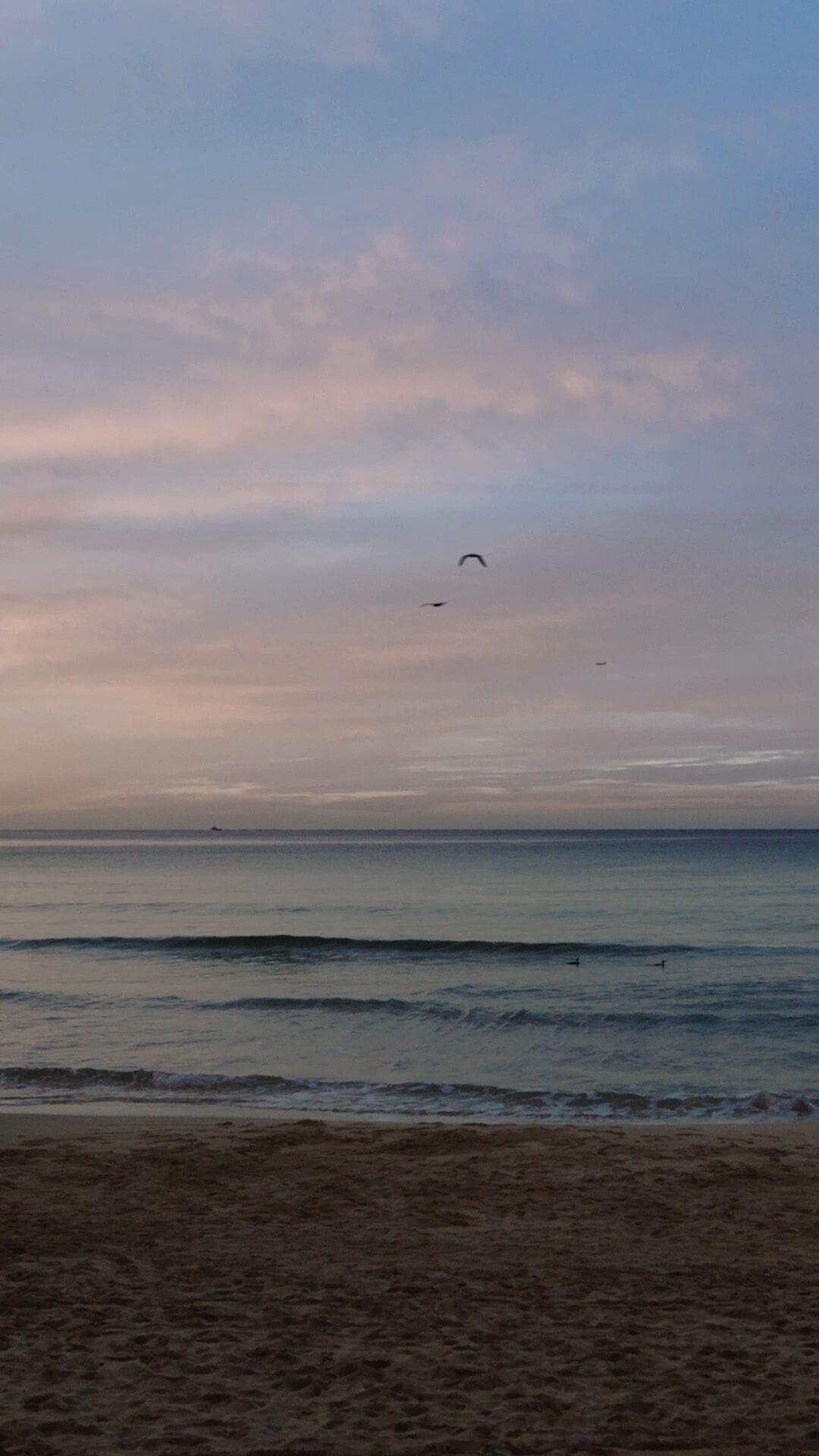 Versace Jeans Couture Spring-Summer 2023