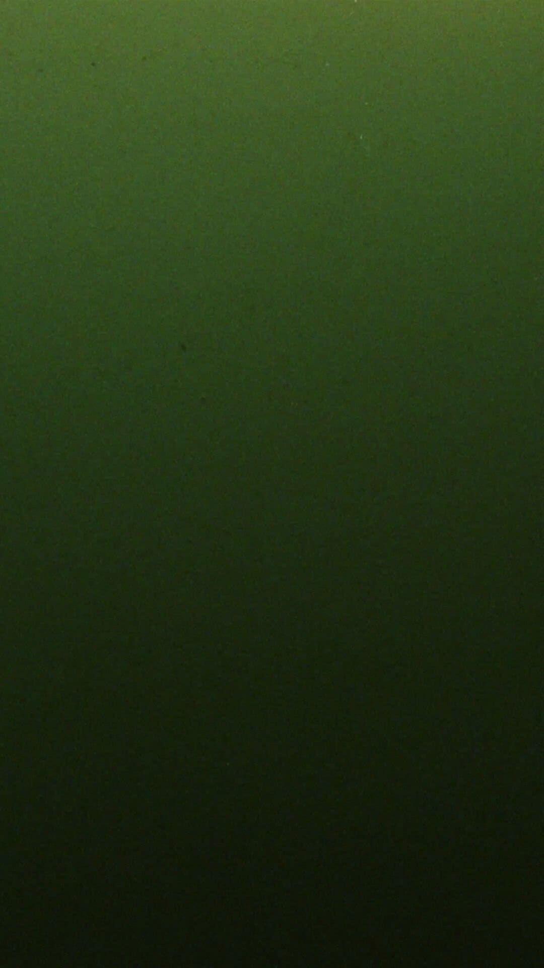 NSS x Versace Jeans Couture