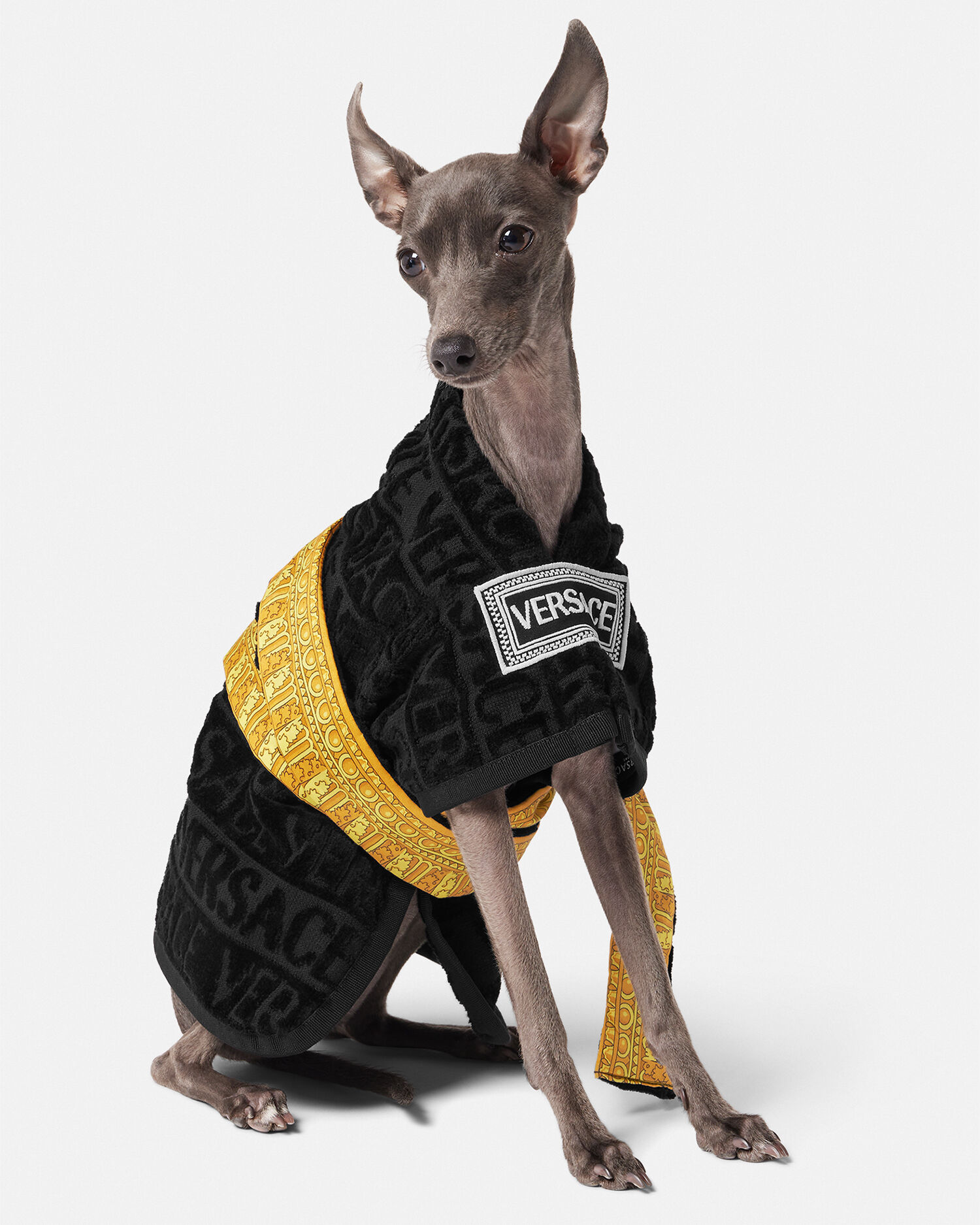 Versace hotsell dog hoodie