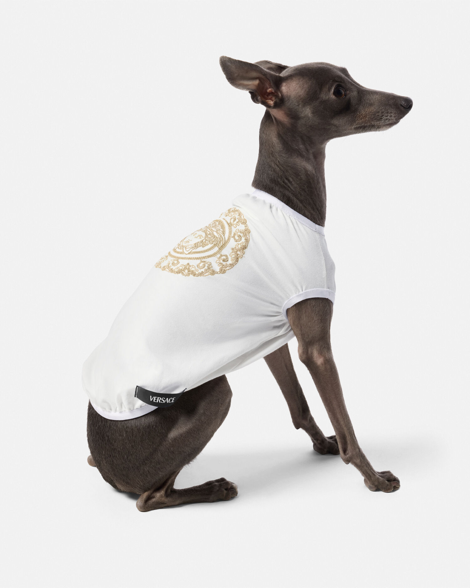 Medusa Gala Pet T Shirt VERSACE