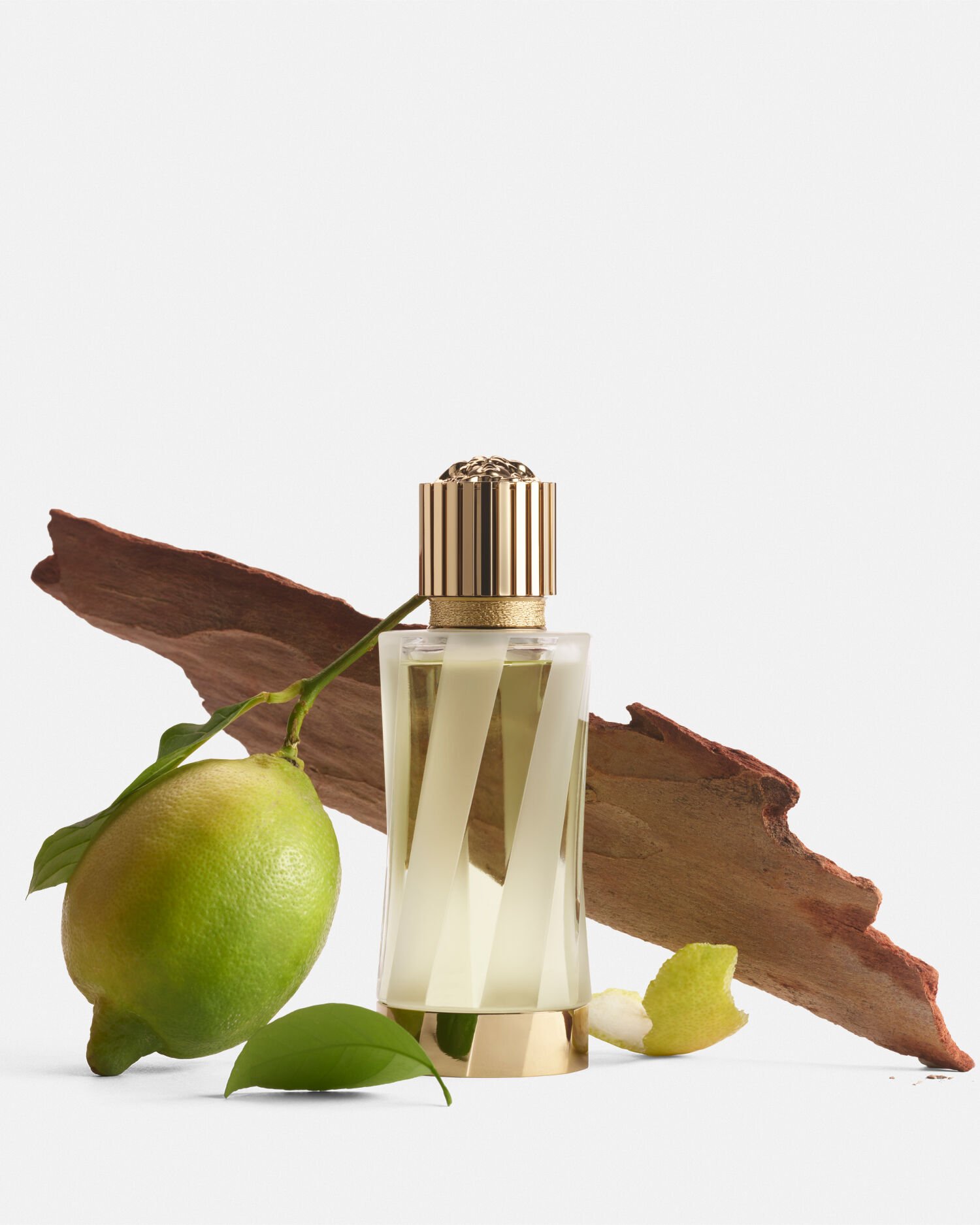 Versace lemon perfume discount