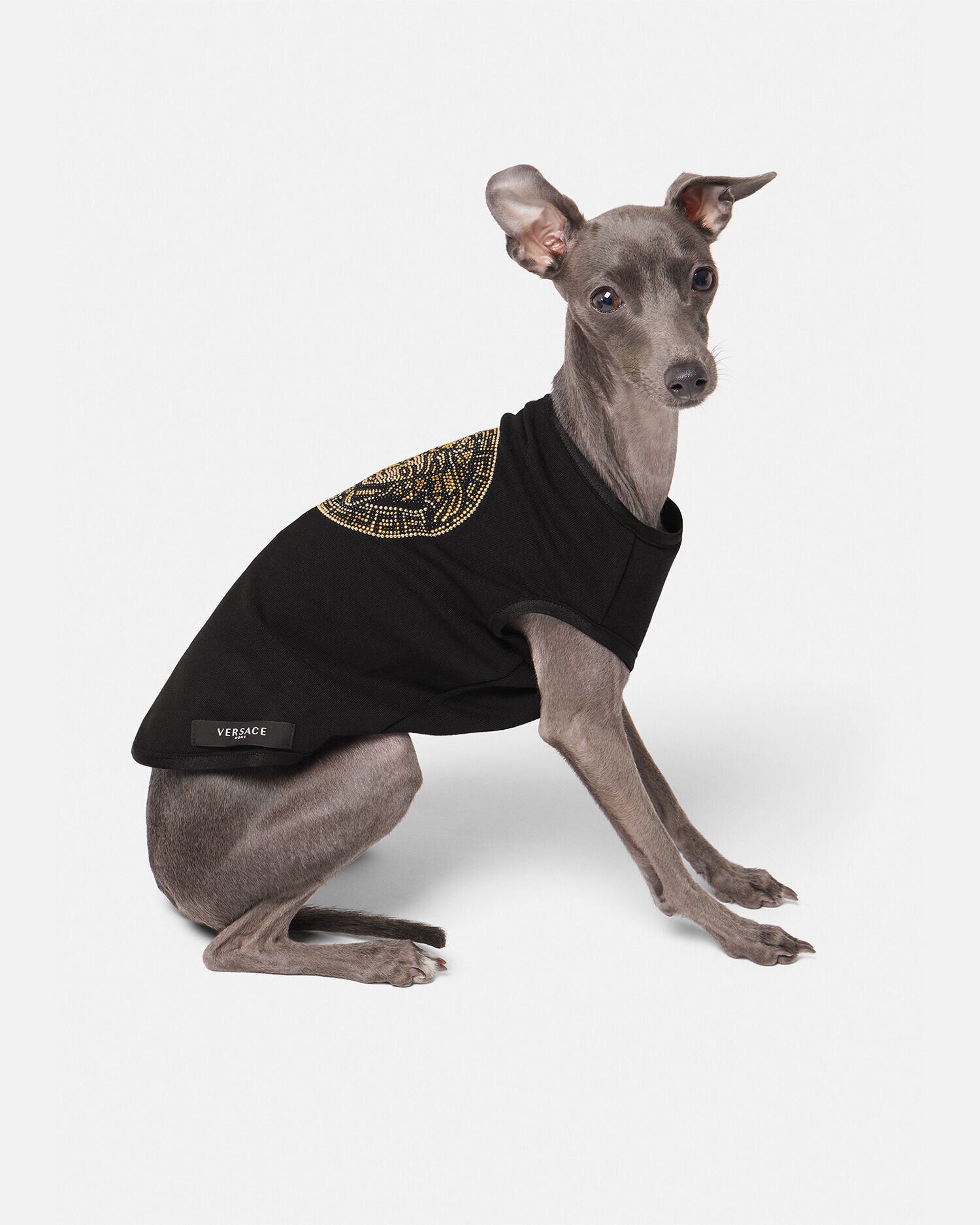 Crystal Medusa Small Pet T Shirt