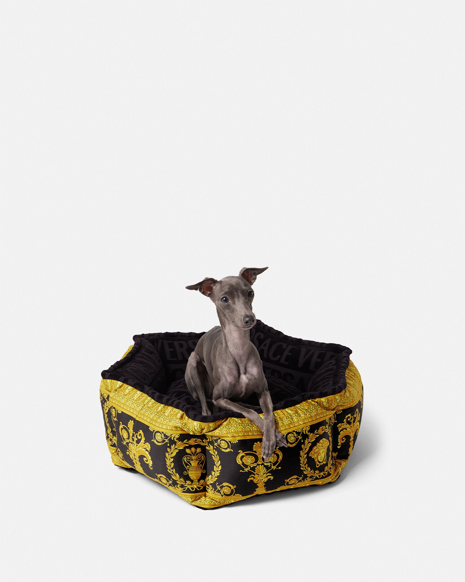 Versace dog deals bed