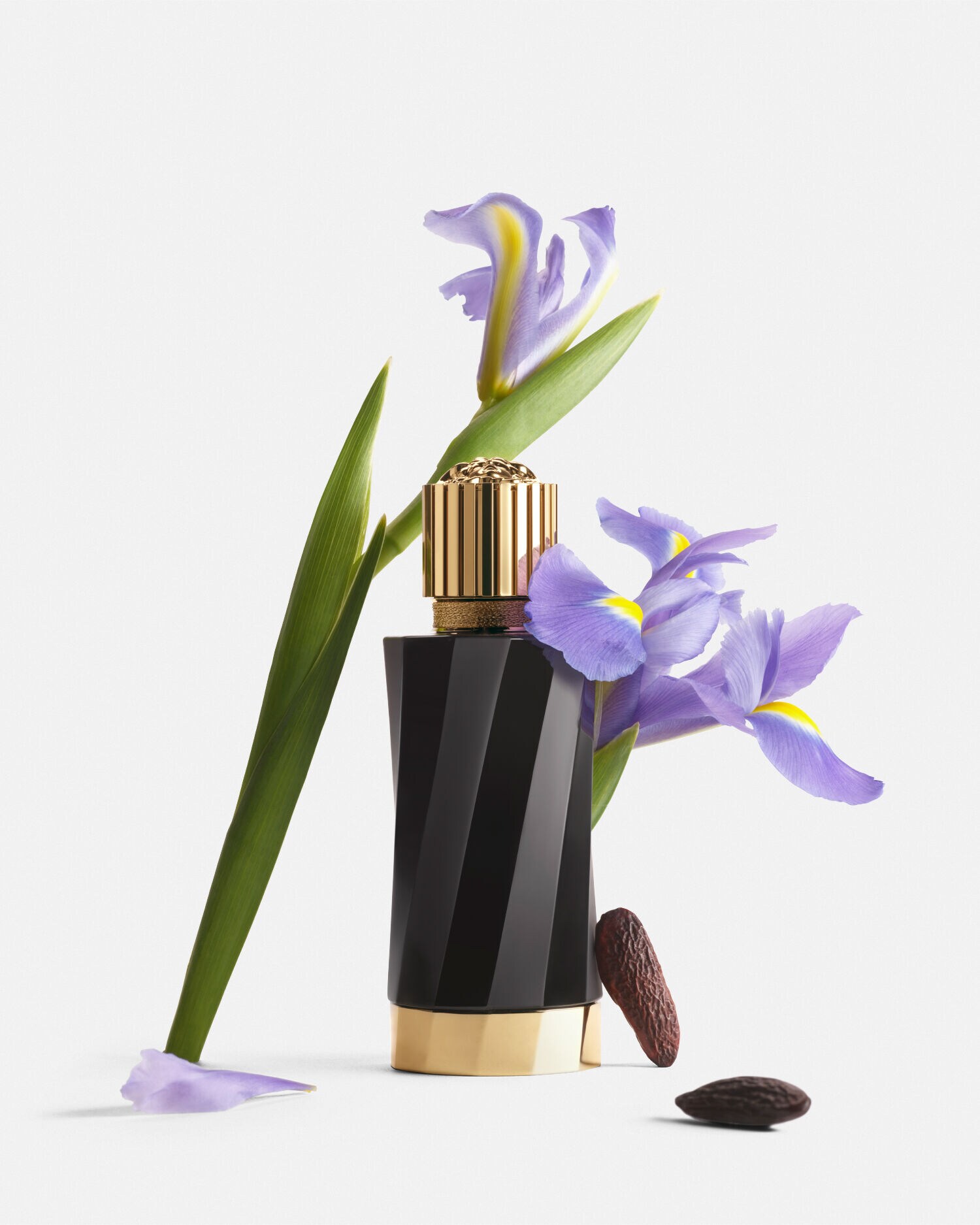Iris d'Élite EDP 100 ml Black | VERSACE US