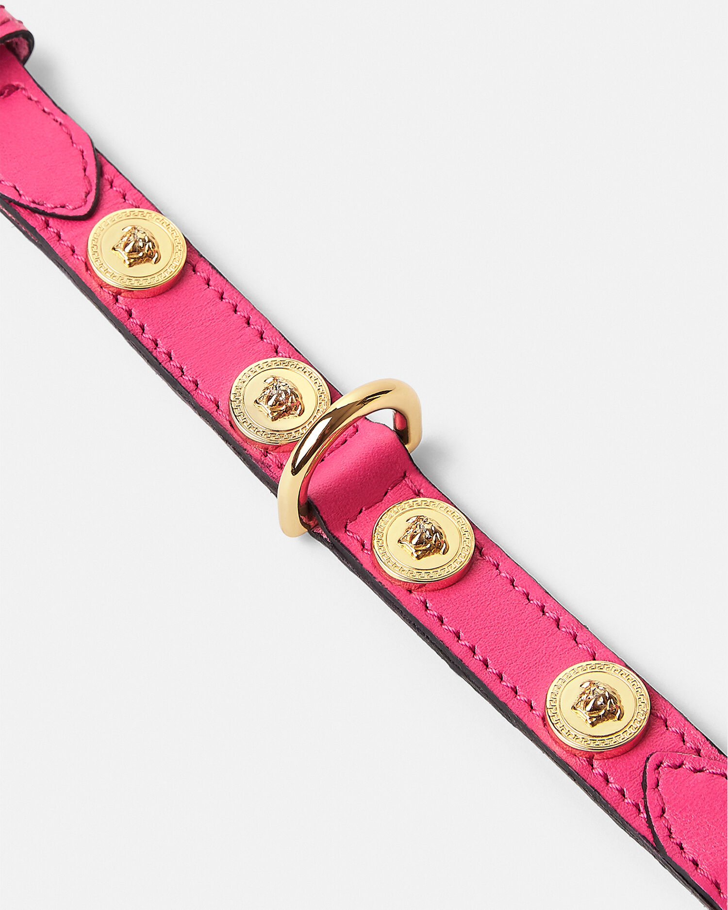 Medusa 2025 dog collar