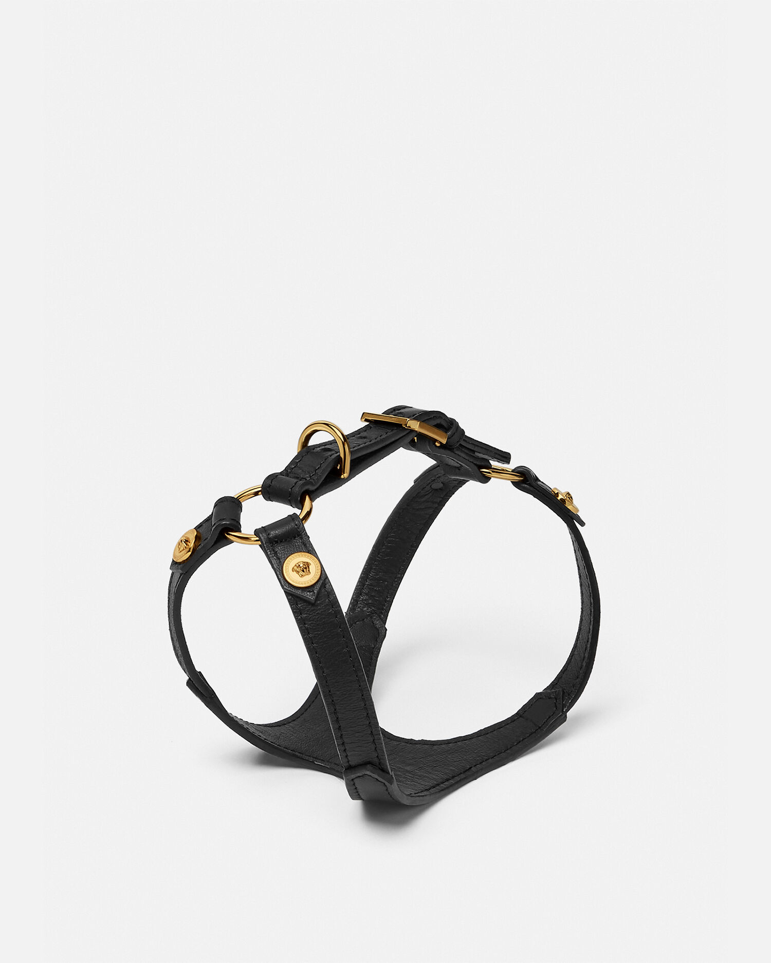 Versace dog hotsell leash