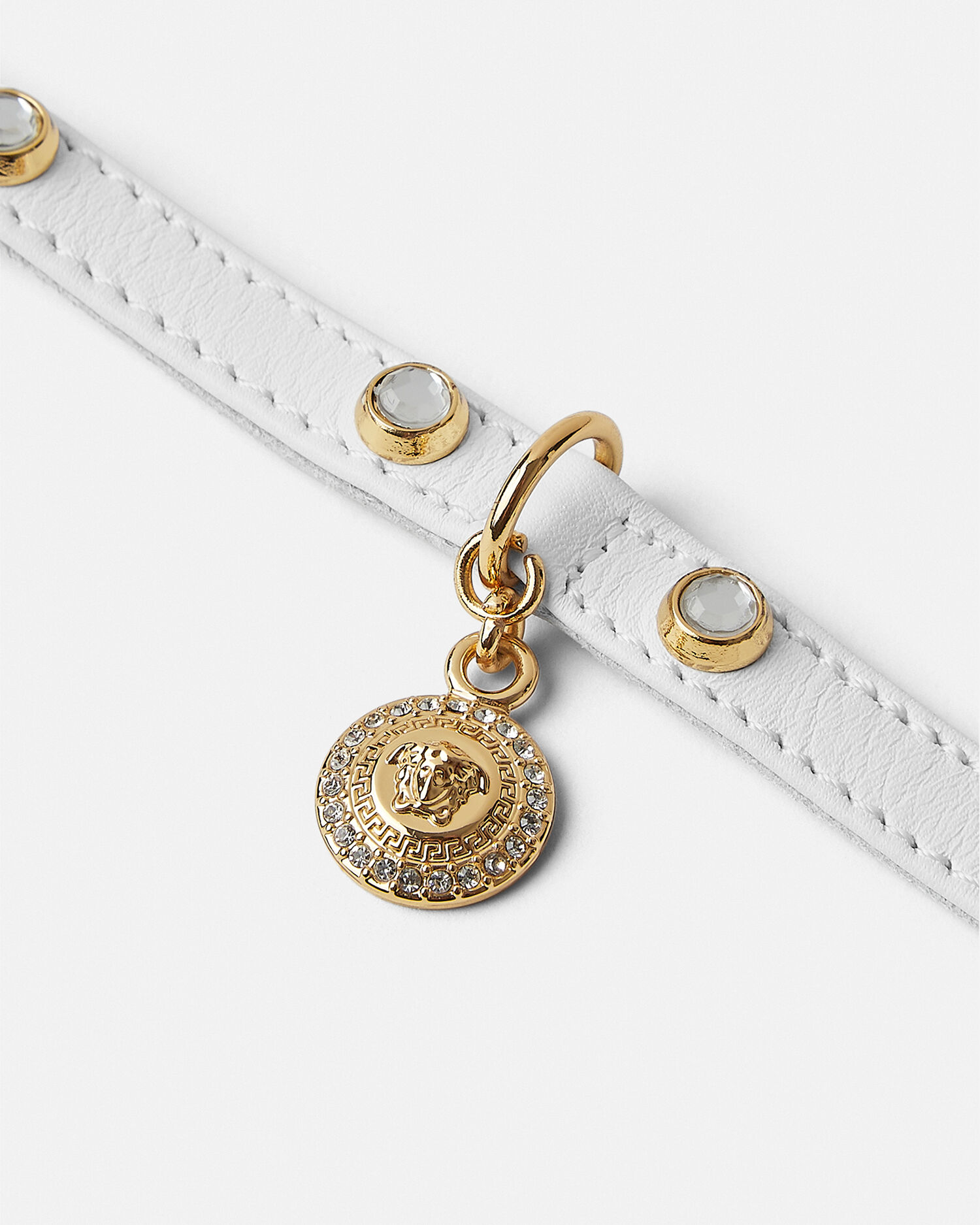 Versace collar dog store