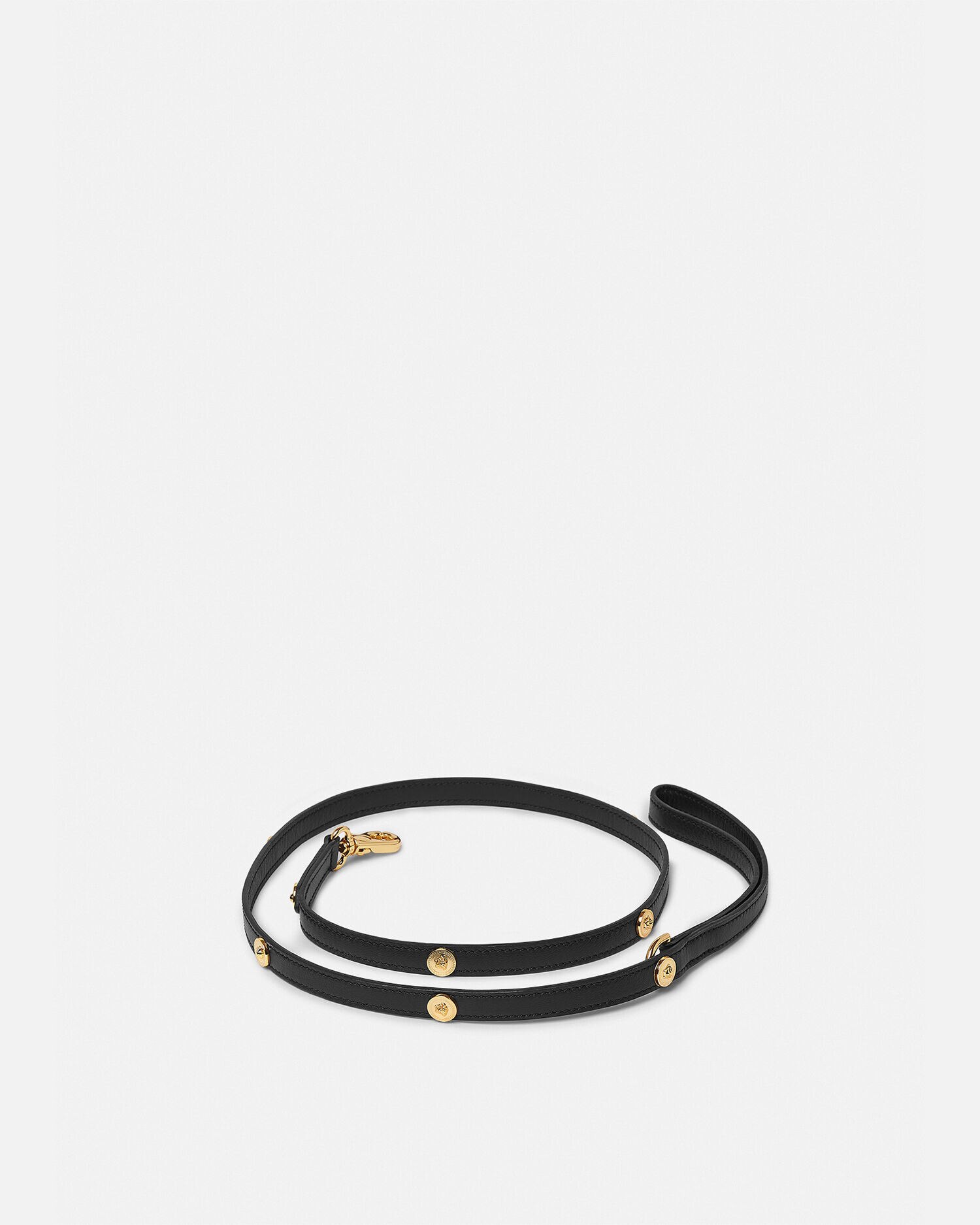 Versace dog accessories discount