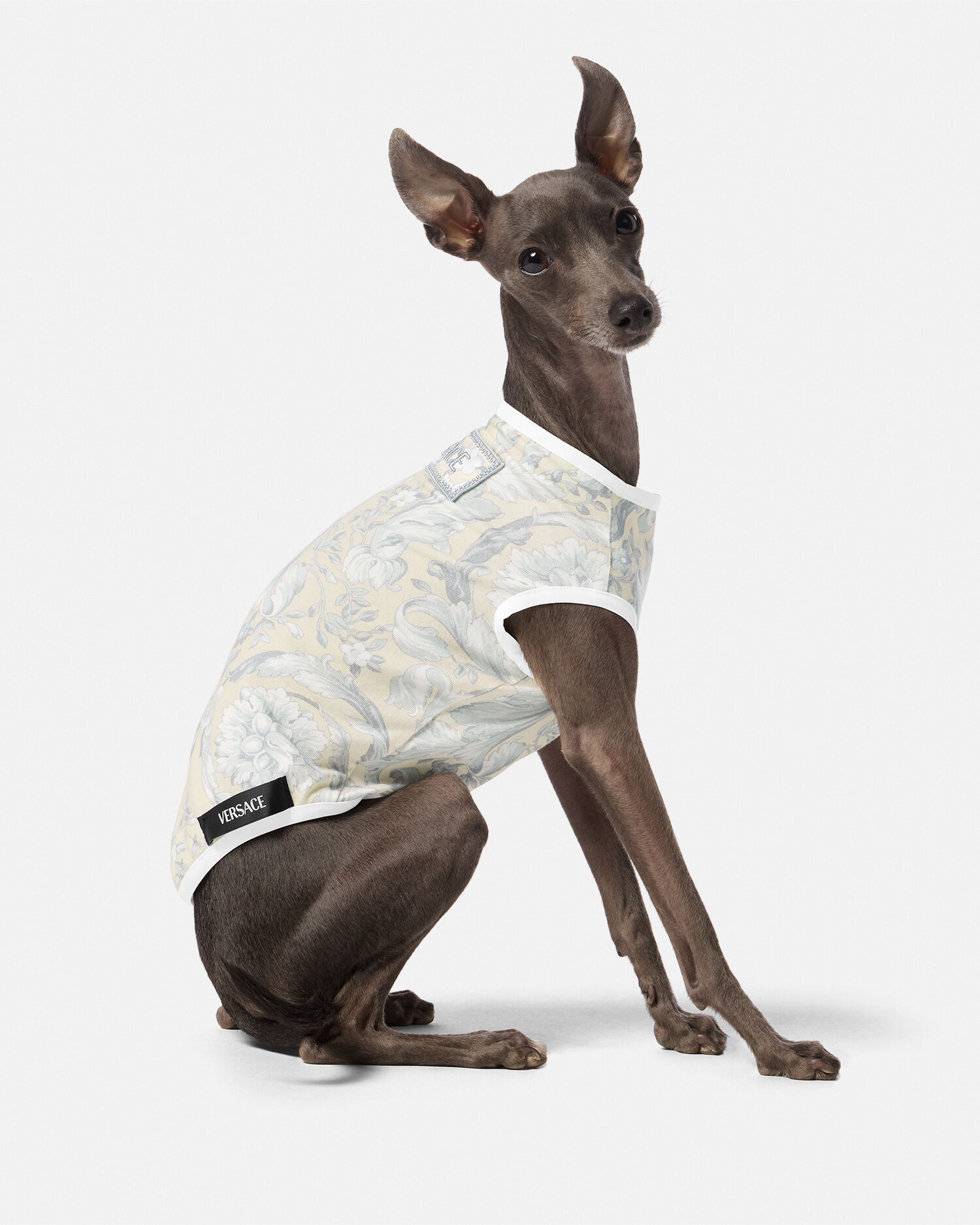 Versace dog clothes discount