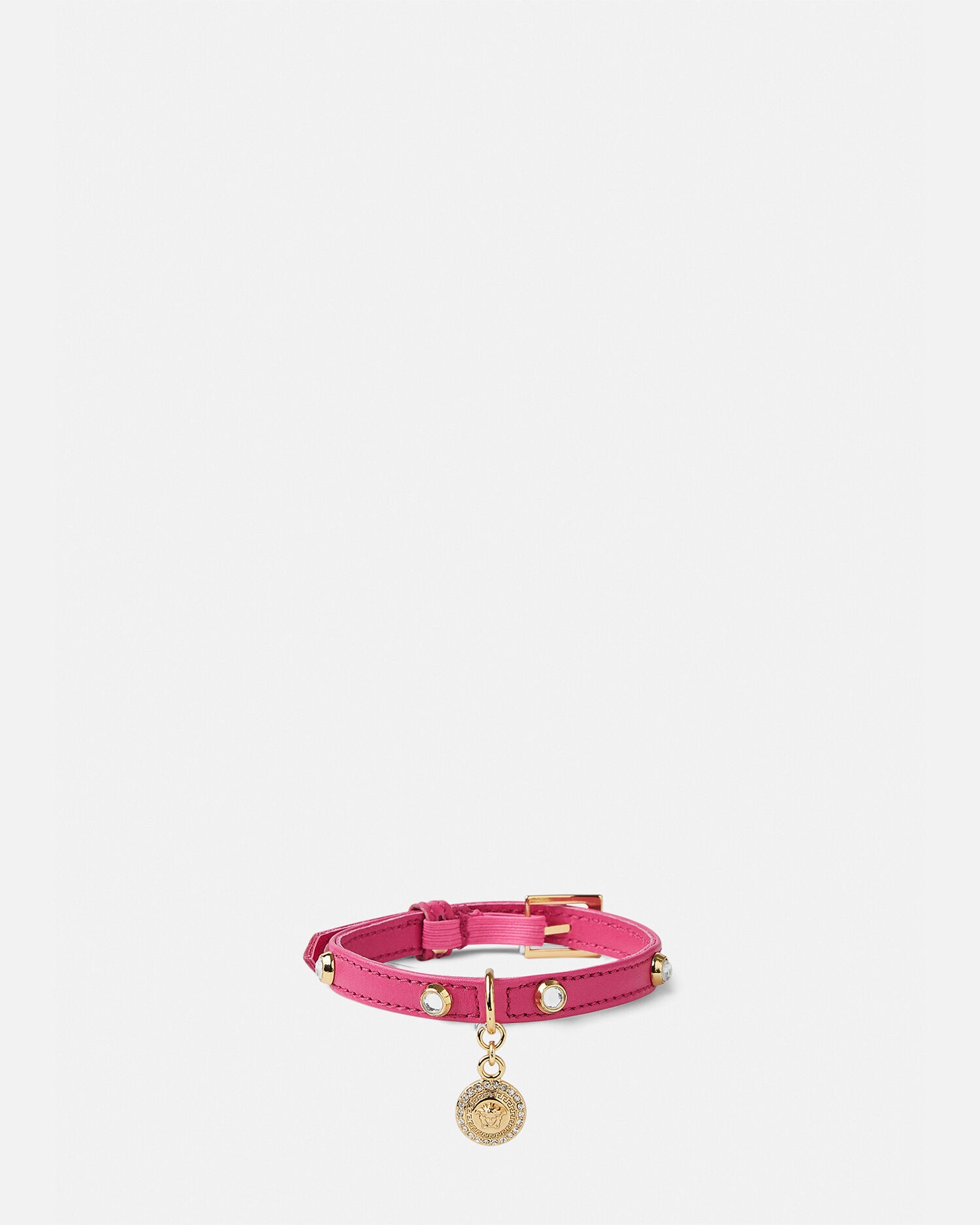 Versace cat shop collar