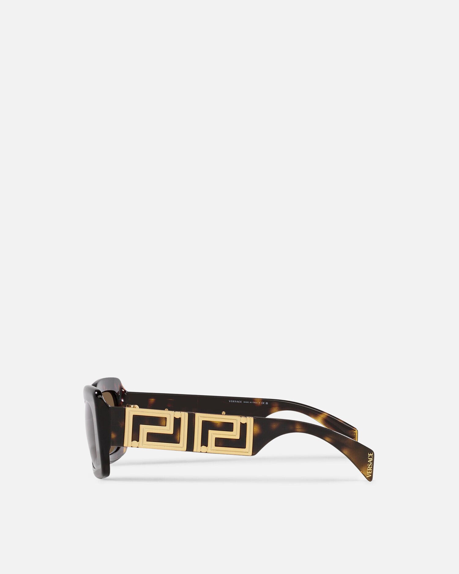 Endless Greca Sunglasses Havana VERSACE US
