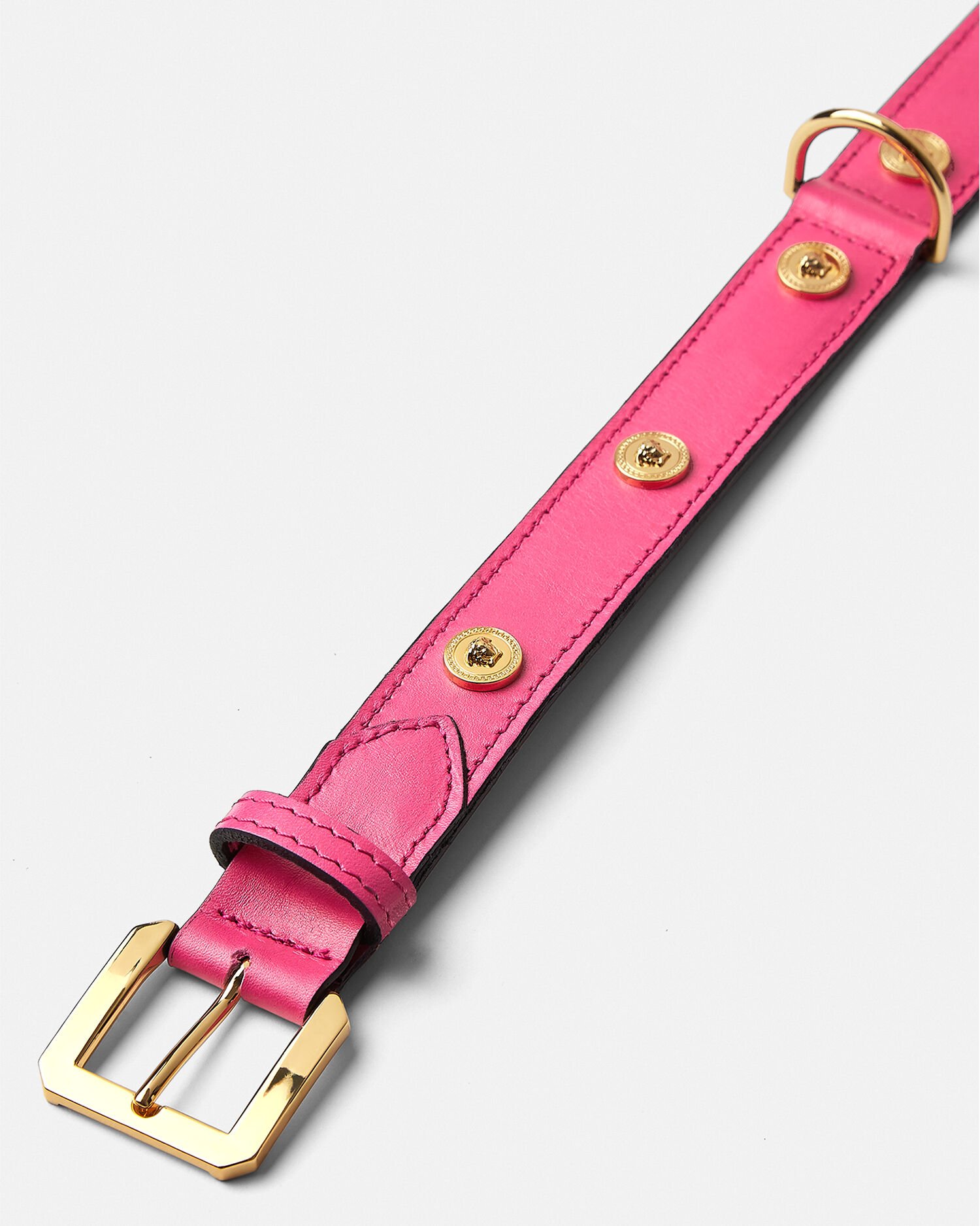 Puppy 2025 collar pink