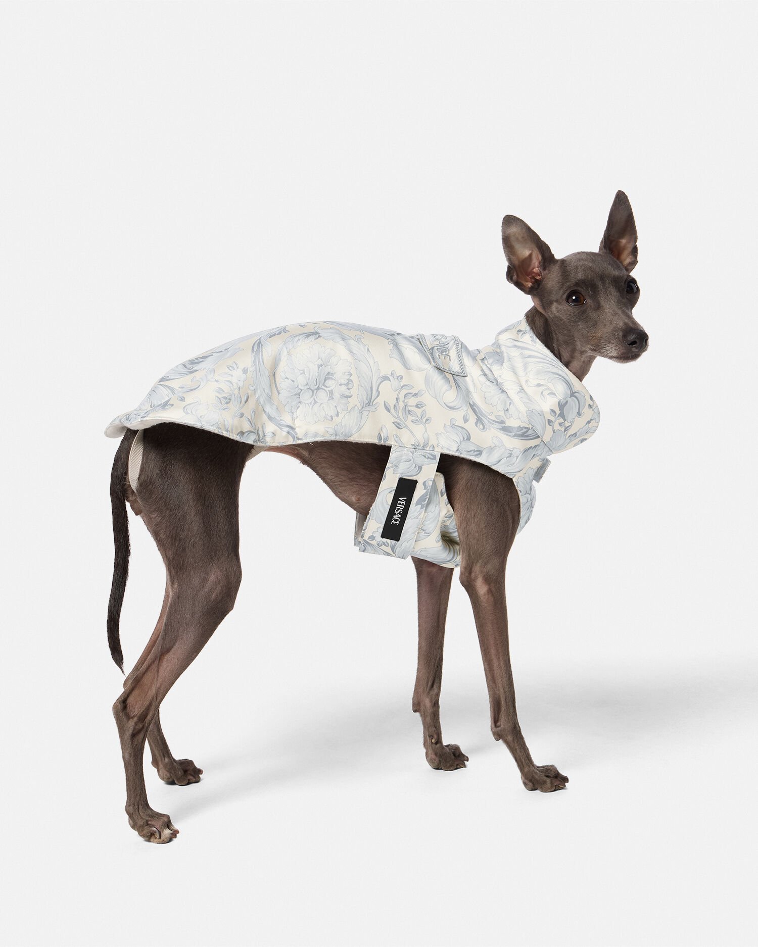 Versace dog coat hotsell