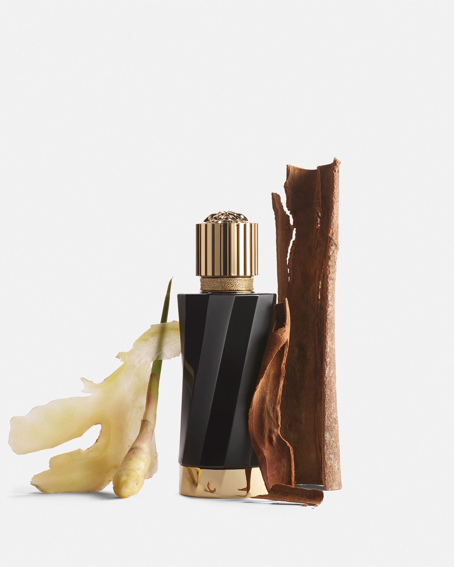 ベルサーチのPerfume Gingembre Pétillant EDP 100 ml Black | VERSACE US