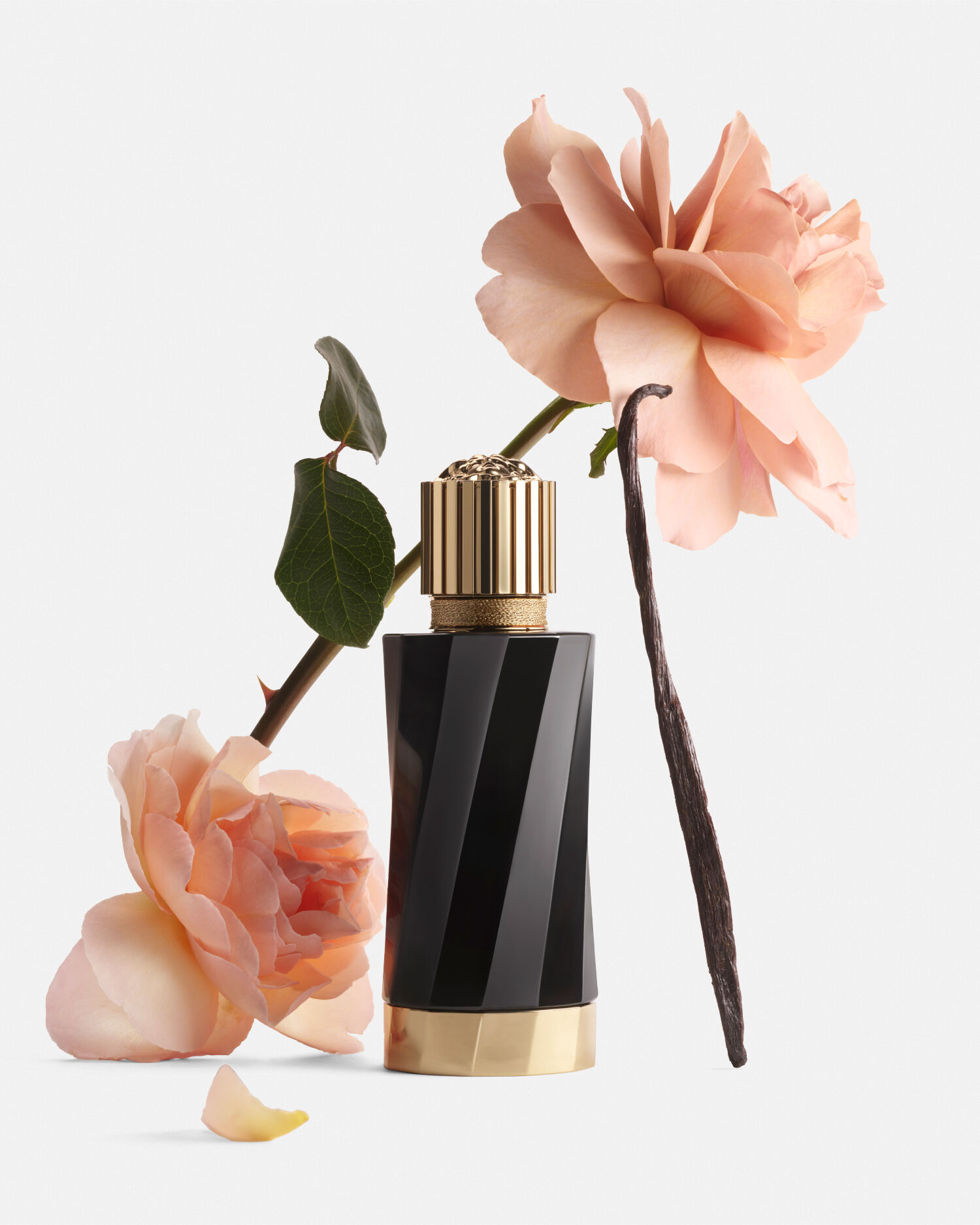 Versace perfume black new arrivals