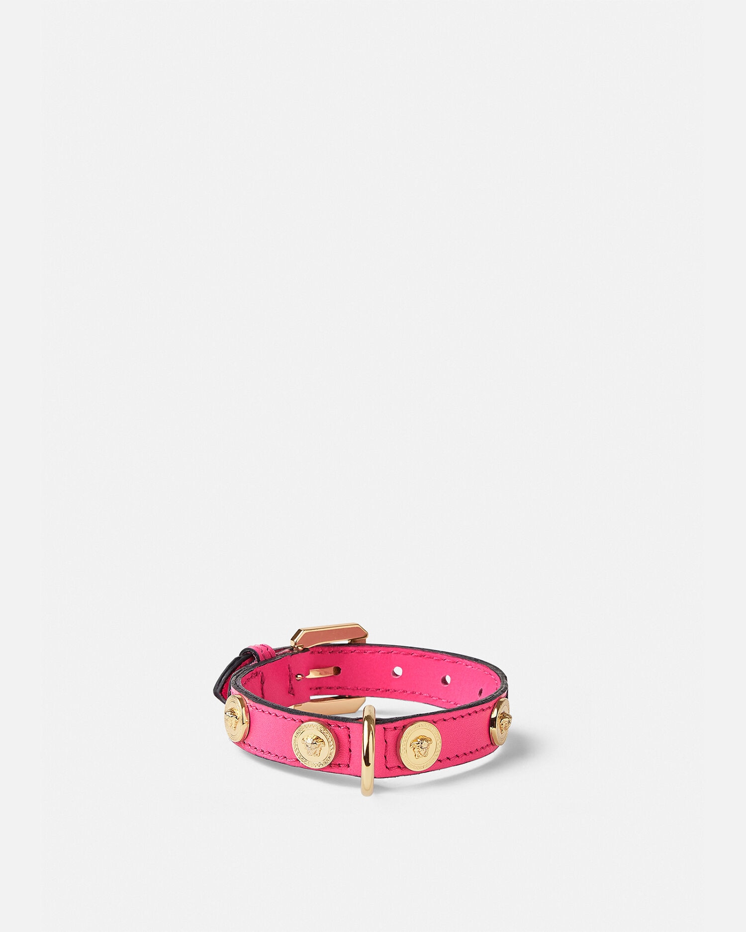 Dolce and shop gabbana dog collar