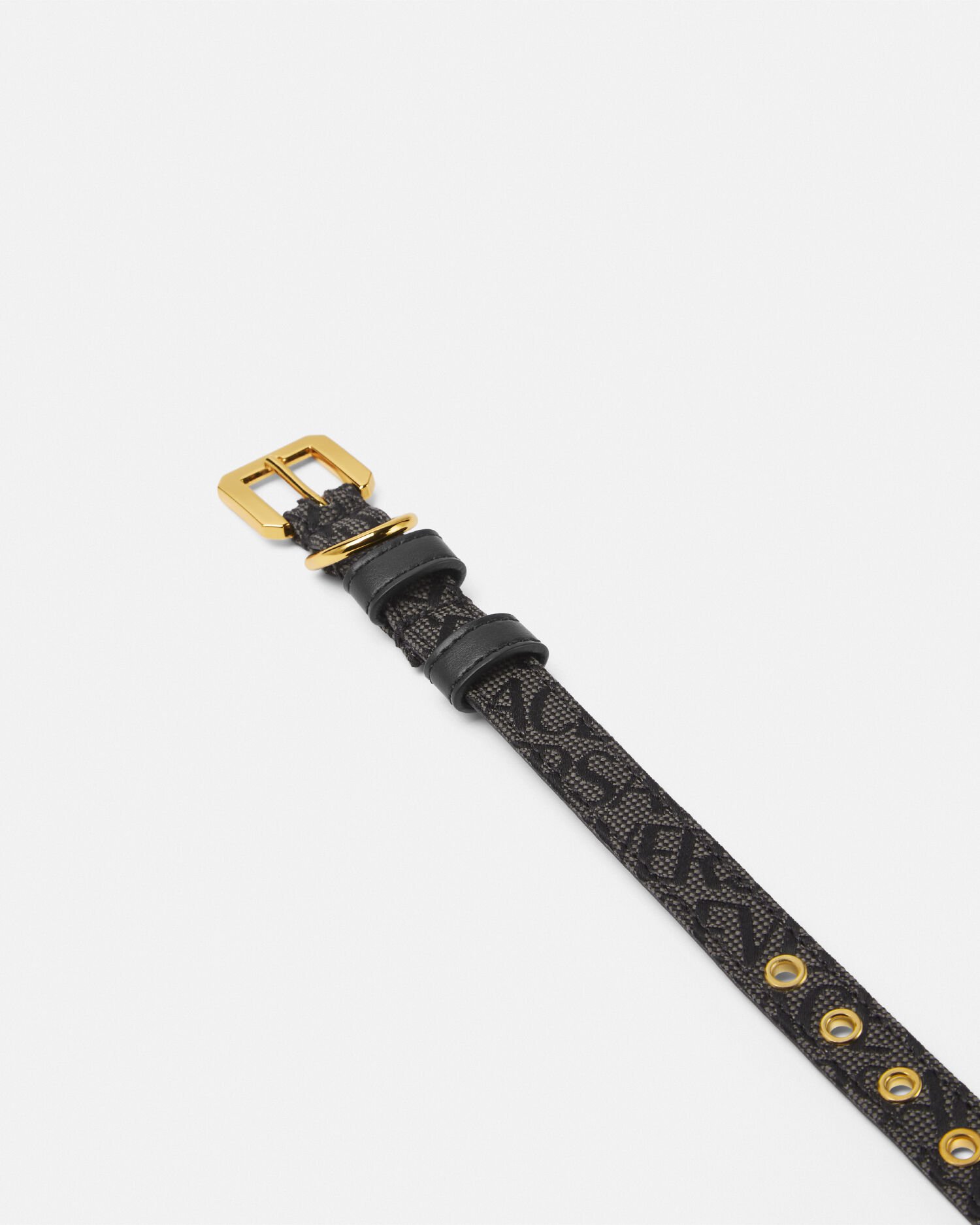 Versace dog accessories on sale