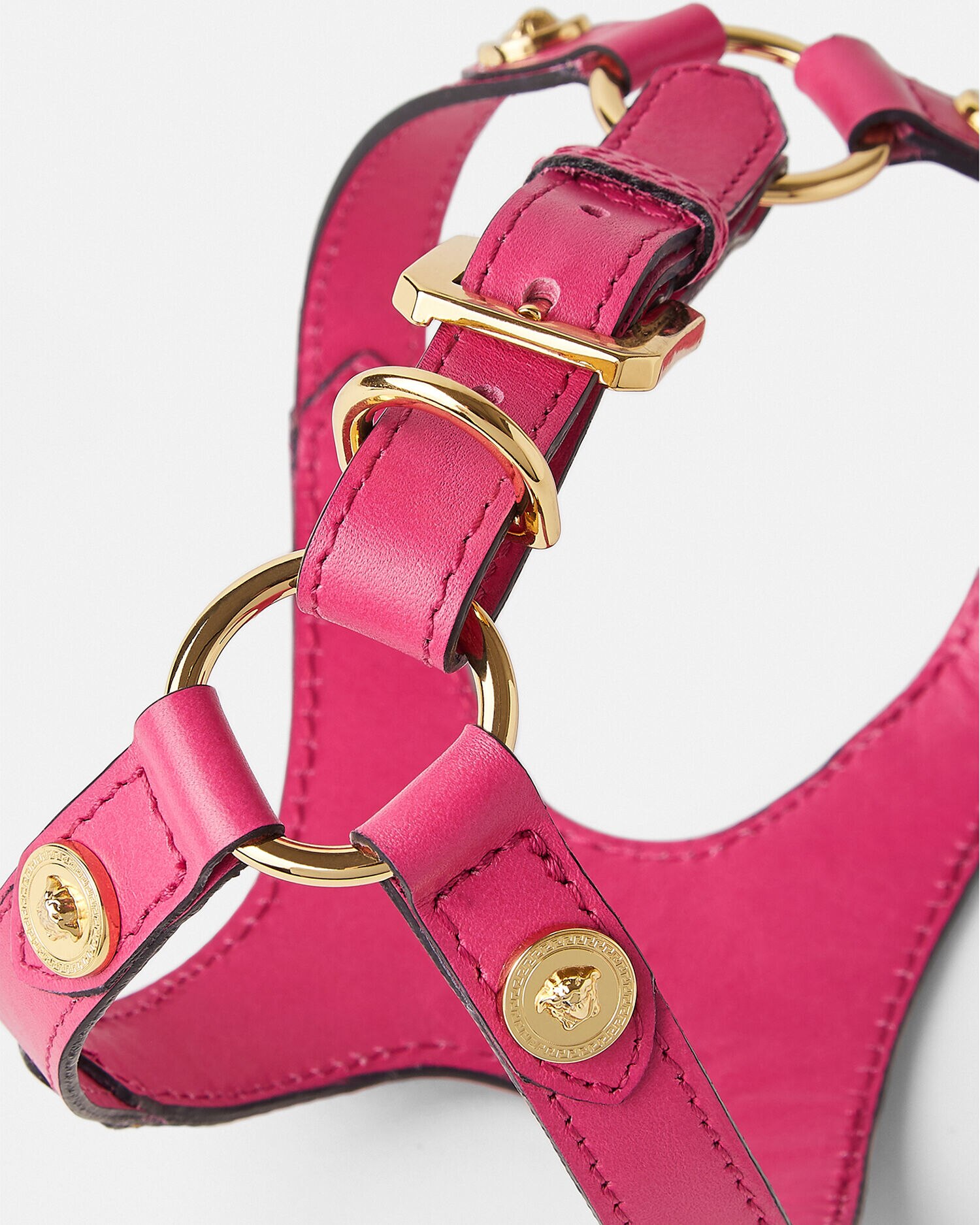 Versace top dog harness