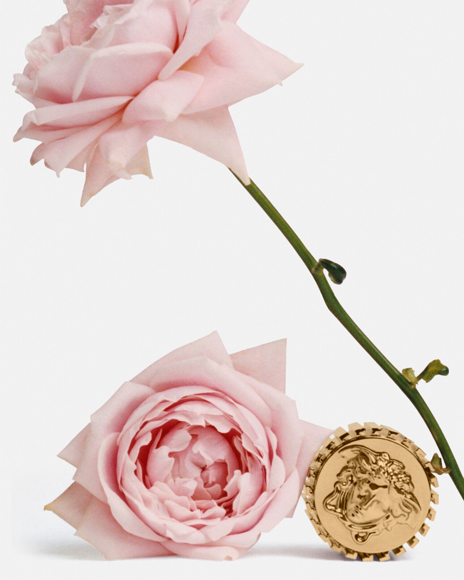 clat de Rose EDP 100 ml