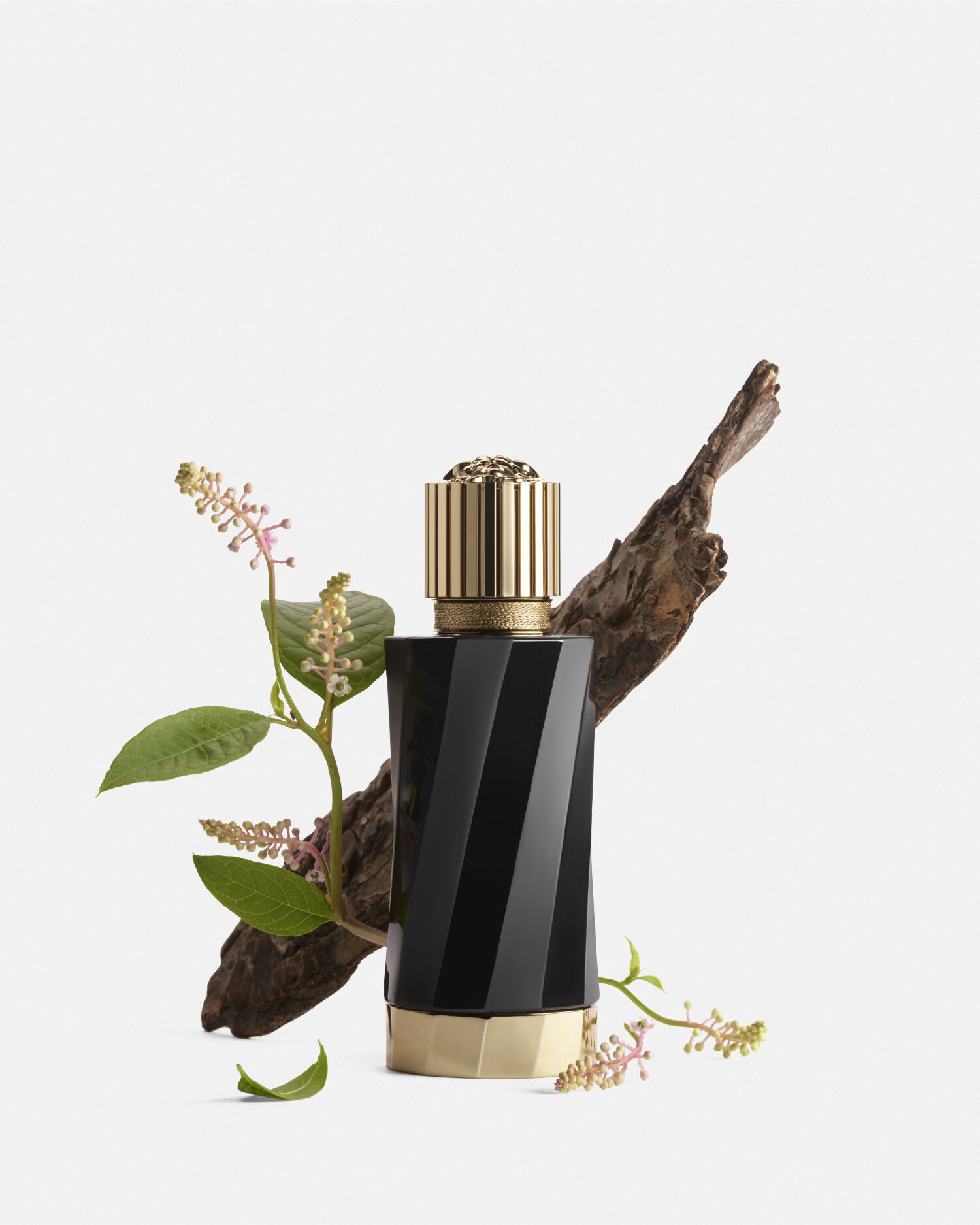 Versace perfume black new arrivals