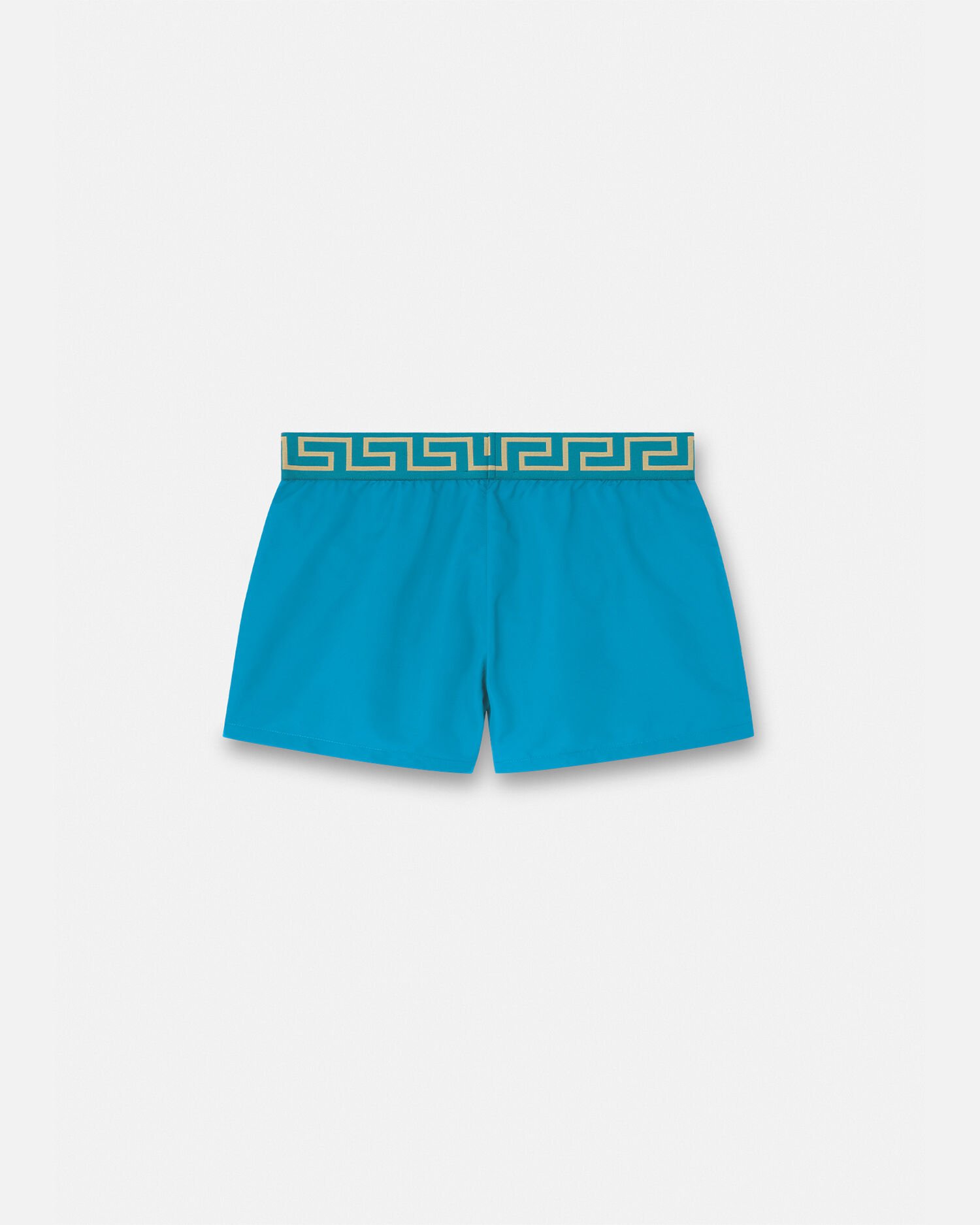 Greca Border Swim Shorts