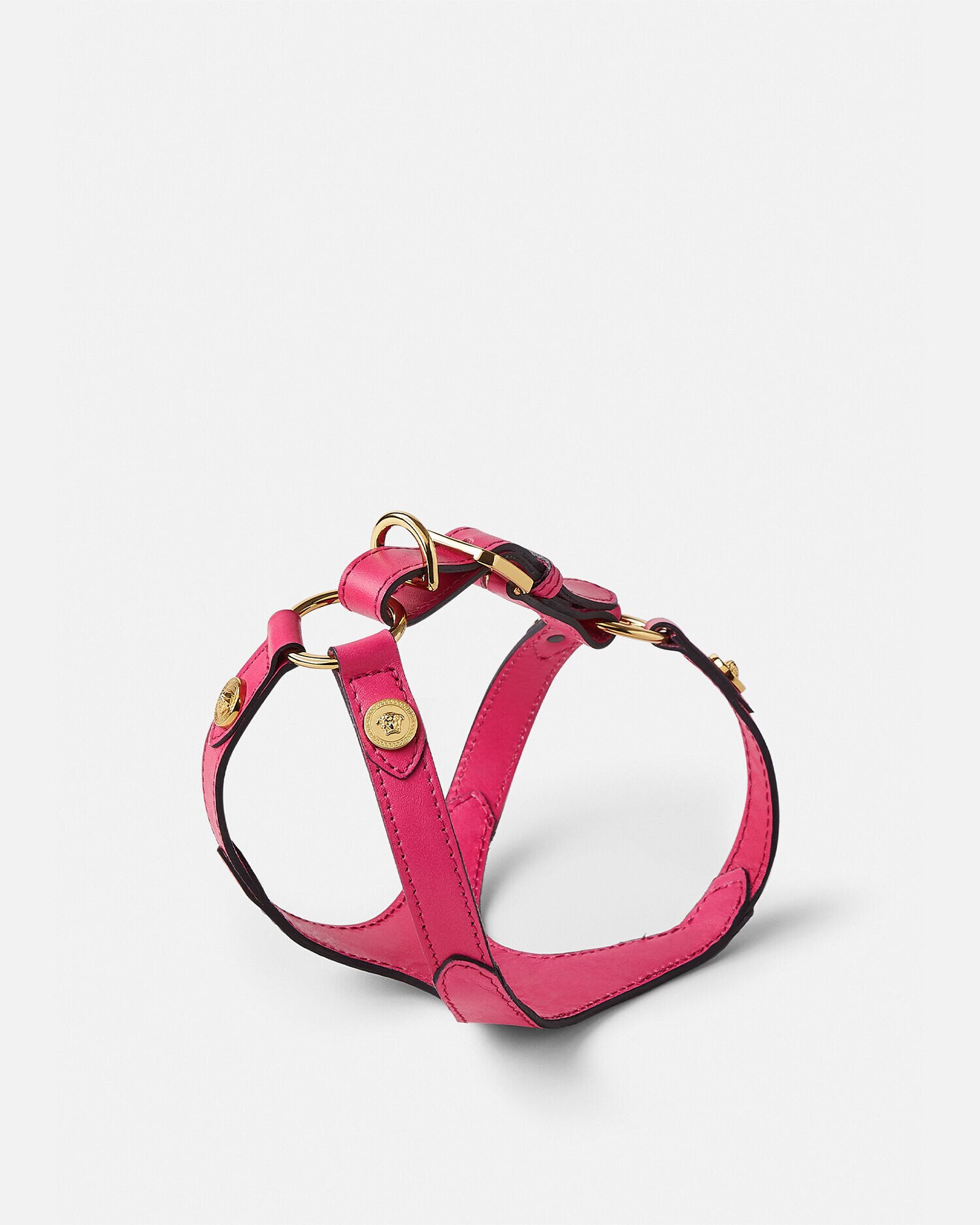 Icon Small Pet Harness