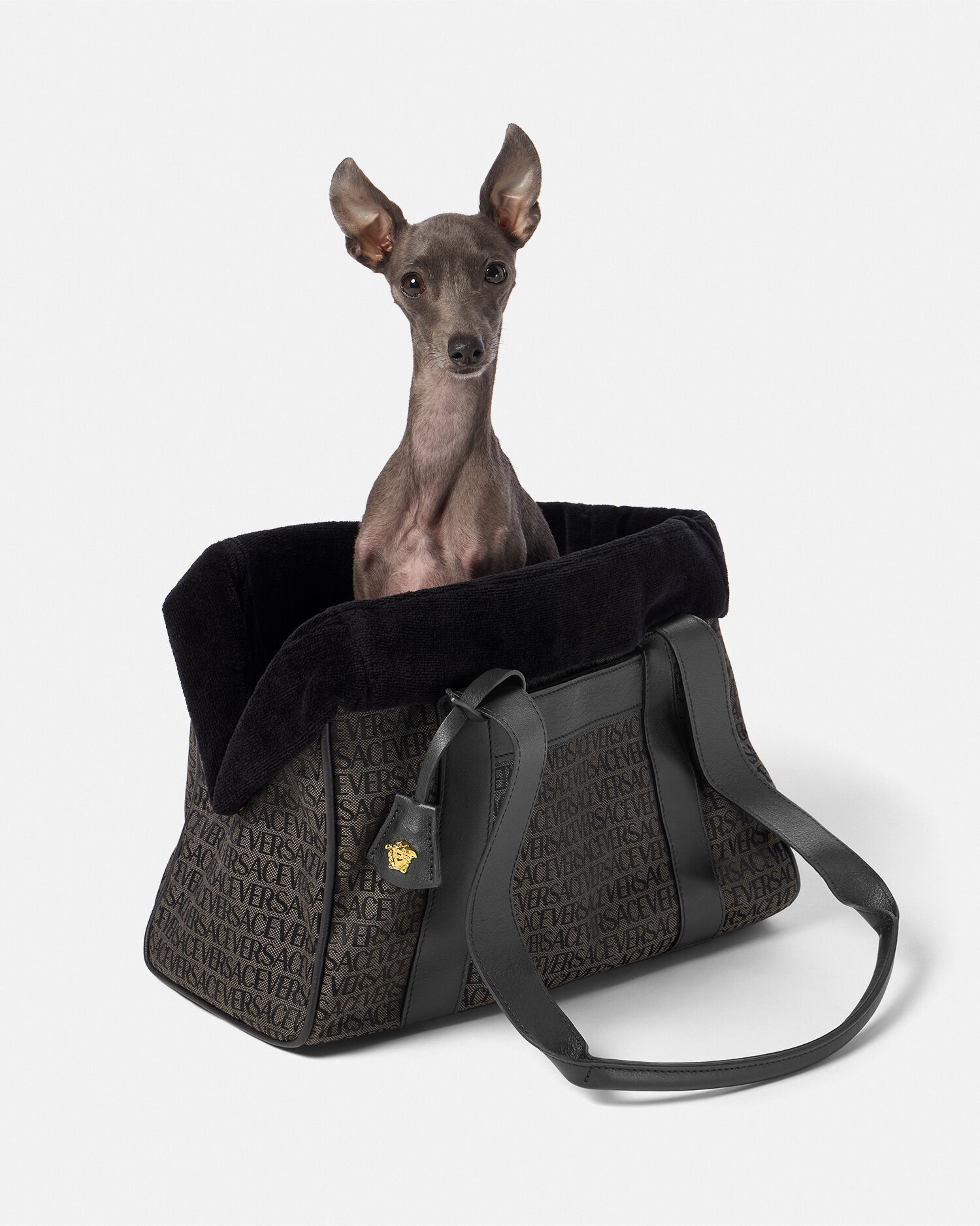Versace dog carrier clearance
