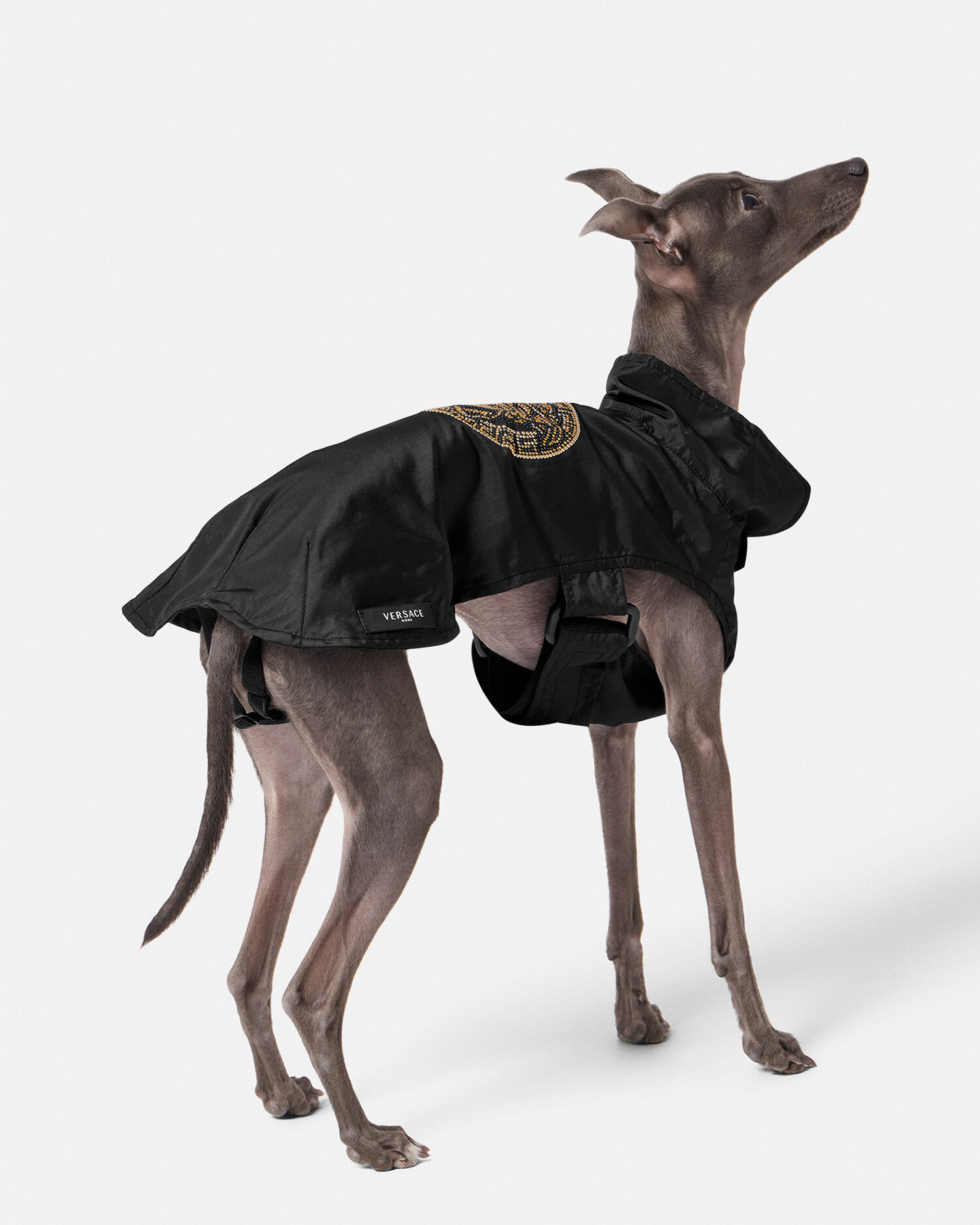 Versace dog hot sale coat