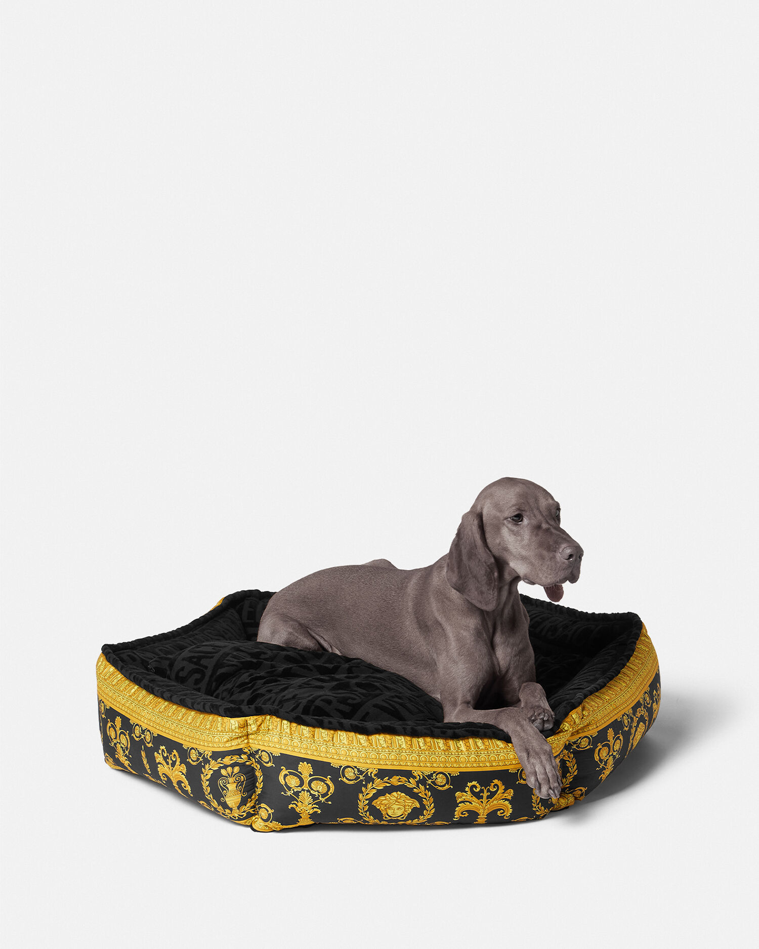 Versace hotsell dog hoodie
