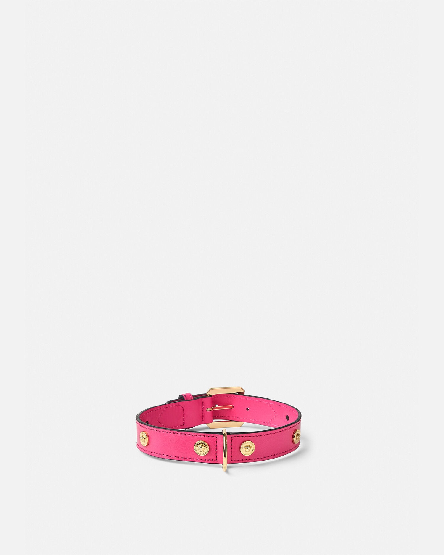 Versace shop cat collar