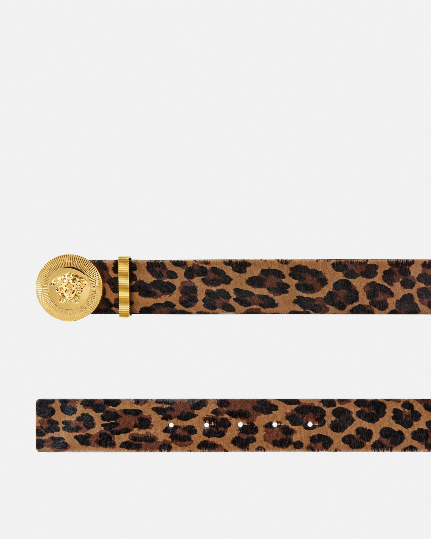 工場直売 Leopard Medusa Biggie Belt 1.6 ぬいぐるみ