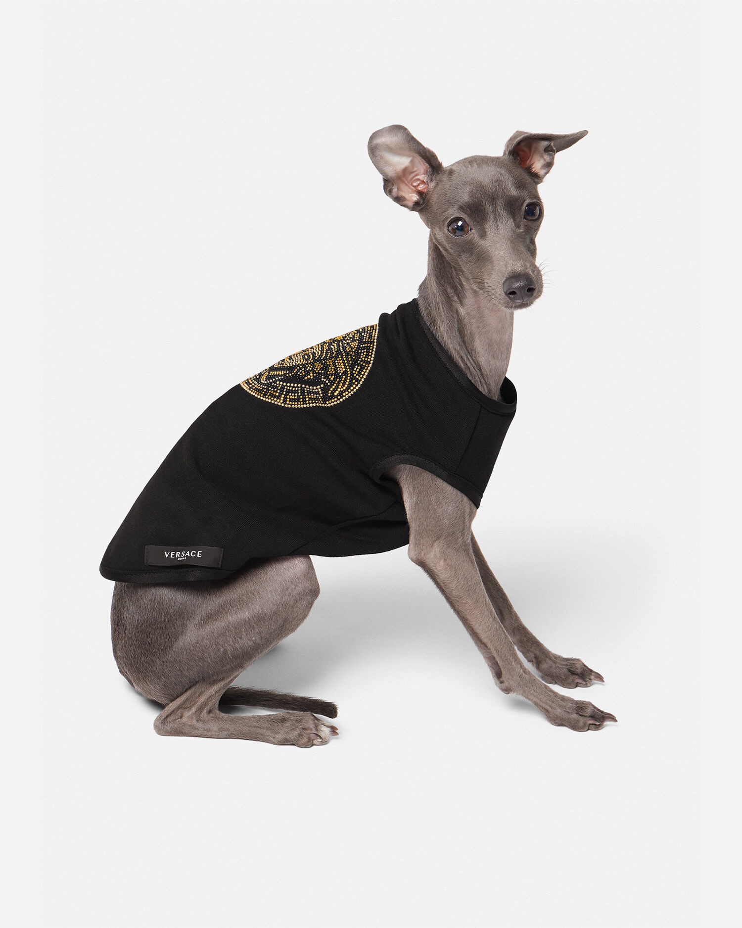 Versace dog coat new arrivals