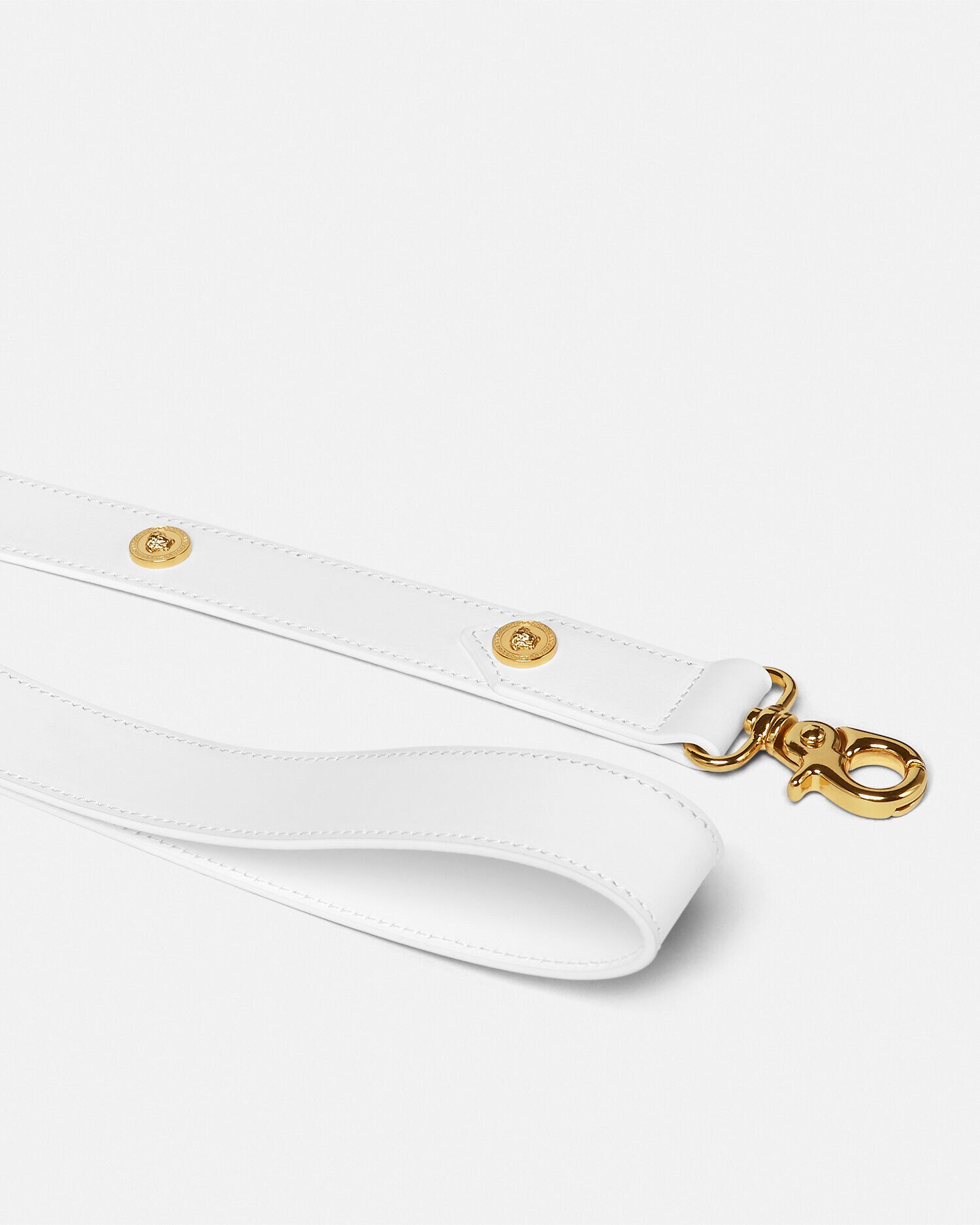 Versace dog leash cheap