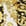 Gold+White
