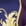 Morado+Oro
