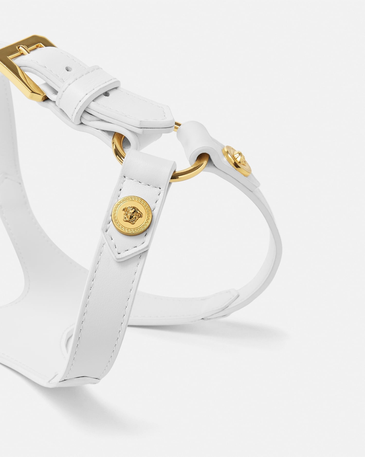 Icon Pet Harness White | VERSACE US