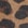 Animalier