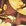 Baroccodile Silk Shorts
