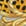 Gold+Print