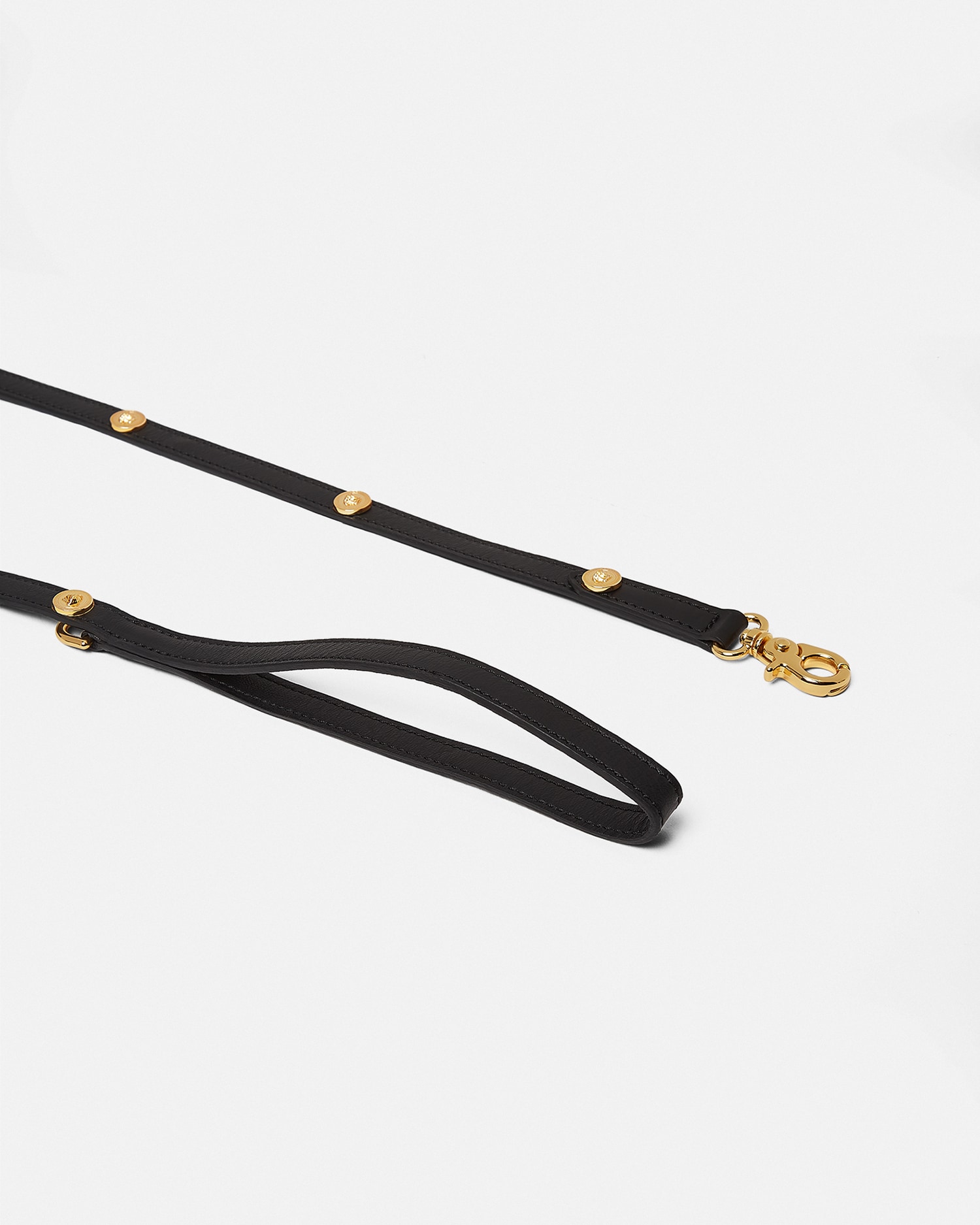 Icon Small Pet Leash