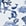 White+Blue