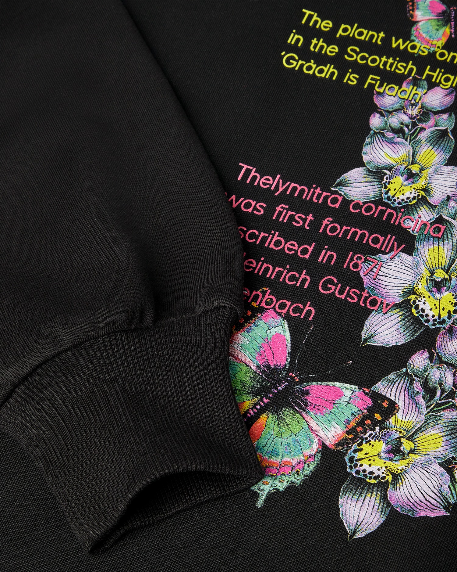 Cabinet De Curiosité Hoodie