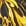 Black+Gold