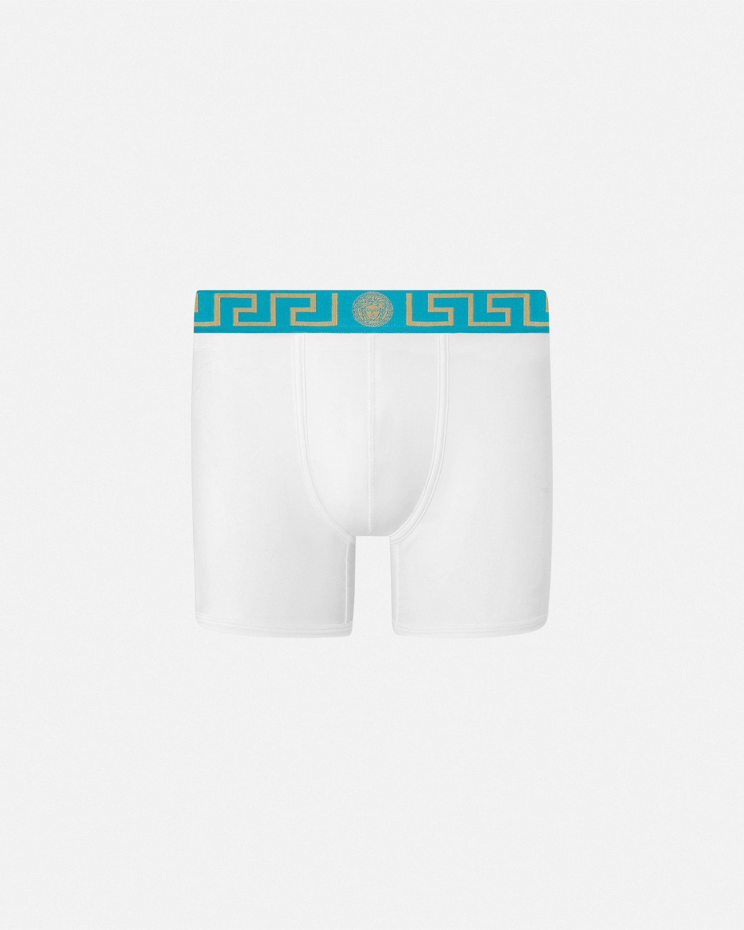 Versace Greca Border Long Trunks