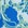 Blue+Green