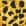 Gold+Print